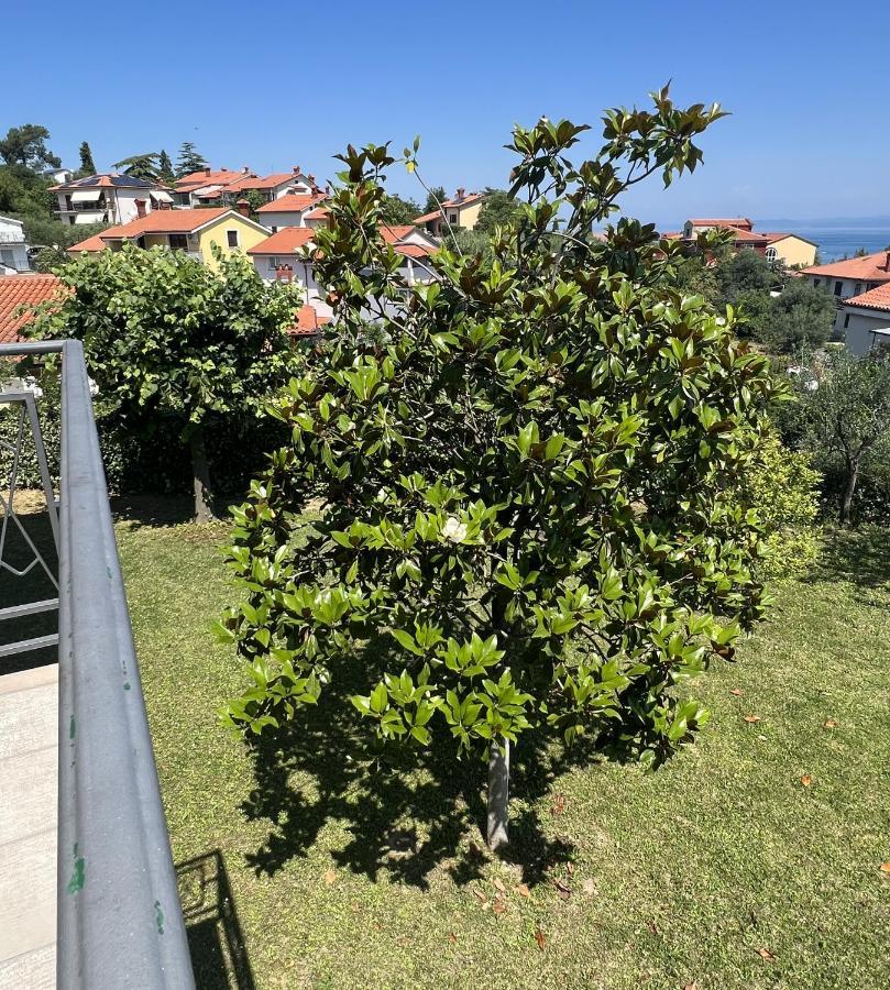 Magnolia Apartments Izola Εξωτερικό φωτογραφία